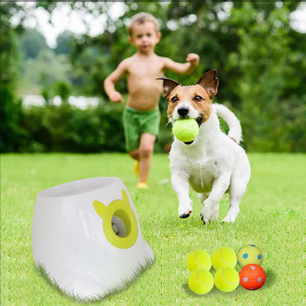 Dog pet Tennis Launcher