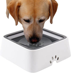 No Splash Pet Floating Bowl